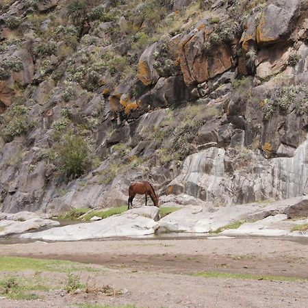 Altos Del Valle San Agustin de Valle Fertil Luaran gambar